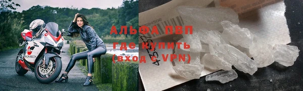 дмт Богданович