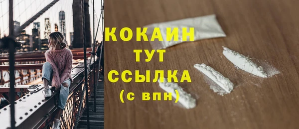 дмт Богданович