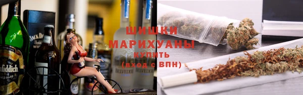дмт Богданович