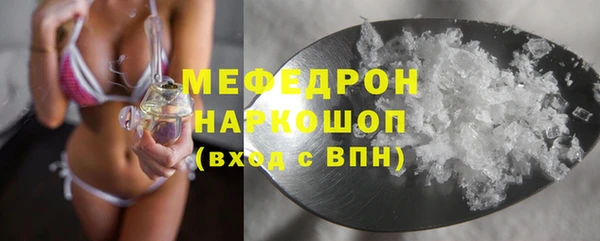 дмт Богданович
