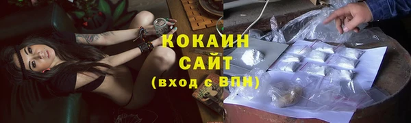 дмт Богданович