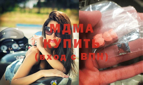 дмт Богданович