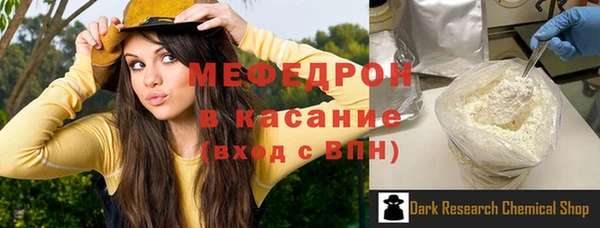 дмт Богданович