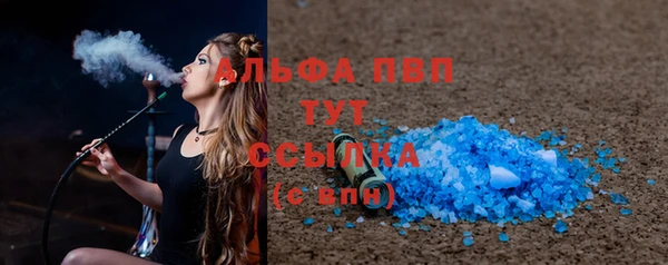 дмт Богданович