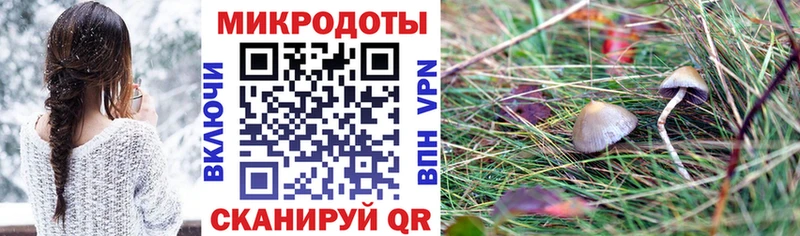 Псилоцибиновые грибы Cubensis цены наркотик сайты даркнета какой сайт Верхняя Тура blacksprut как зайти